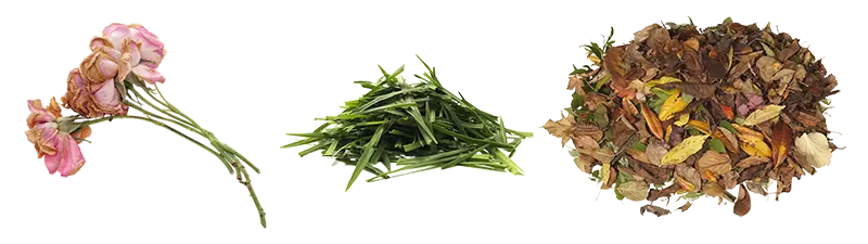 Yard Waste Examples: dried flower, grass clippings, and leaves